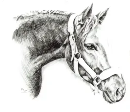 naklejka-na-samochod-do-stajni-rysunek-3-czarna