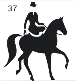 naklejka-na-samochod-do-stajni-wzor-37-srebrna