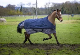 derka-padokowa-ekkia-turnout-tyrex-0g-600d