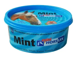 lizawka-horslyx-witaminowa-mint-650g