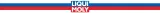 odrdzewiacz-liqui-moly-600ml-stan-nowy