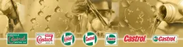 olej-silnikowy-castrol-gtx-5w30-c4-1l-1-l-5w-30