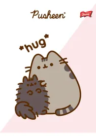 zeszyt-w-trzy-linie-a5-unipap-32-kartek-notes-z-kotkiem-pusheen-5164
