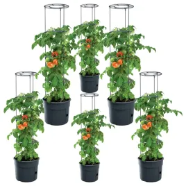 doniczka-do-pomidorow-x6-szt-uprawy-domowej-planter-donica-12l-obfite-plony