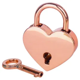 klodka-jarzmowa-na-klucz-taurus