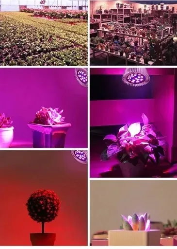 zarowka-led-grow-light-do-uprawy-roslin-40w-e27