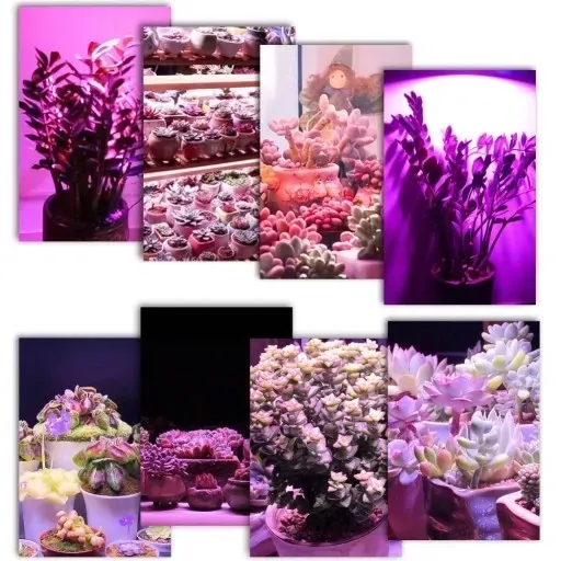 zarowka-led-grow-light-do-uprawy-roslin-40w-e27-stan-opakowania-oryginalne