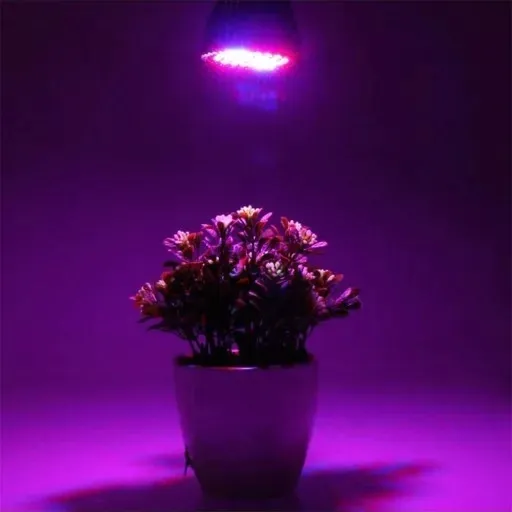 zarowka-led-grow-light-do-uprawy-roslin-40w-e27-rodzaj-zarowka-stan-opakowania-oryginalne