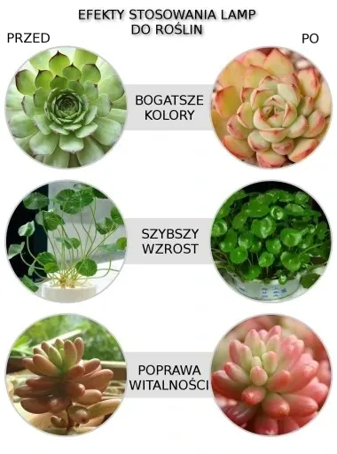 zarowka-led-grow-light-do-uprawy-roslin-40w-e27-stan-nowy