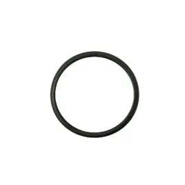 86011525-o-ring-case-new-holland-cnh-oryginal