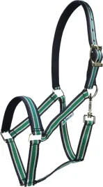 b-bucas-dublin-bardzo-wygodny-kantar-podszyty-ciemnoniebieski-zielony-full