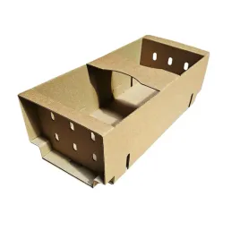 lubianka-kobialka-tekturowa-na-truskawki-300x130x100mm-1kg-50szt