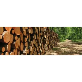 tablice-reklamowe-do-wystawienia-w-sklepach-forex-125cm-wersja-ogrod-i-las