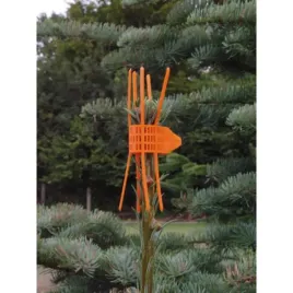 kolnierz-ochronny-do-pedow-plantagard-100szt