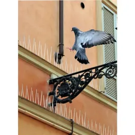 kolce-odstraszajace-golebie-natural-control-3000mm