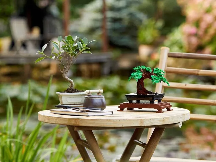 10281-lego-creator-drzewko-bonsai-certyfikaty-opinie-atesty-ce