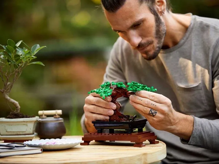 10281-lego-creator-drzewko-bonsai-stan-opakowania-oryginalne