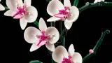 10311-lego-icons-orchidea-bohater-inny