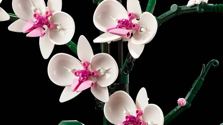 10311-lego-icons-orchidea-informacje-dot-bezpieczenstwa-i-zgodnosci-produktu-nie-nadaje-sie-dla-dzieci-w-wieku-ponizej-36-miesiecy
