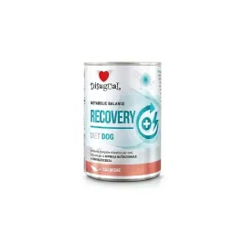 disugual-dog-recovery-400g-losos