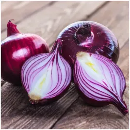 cebula-czerwona-grenada-nasiona-1g