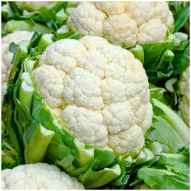 kalafior-beta-bardzo-wczesny-nasiona-1g