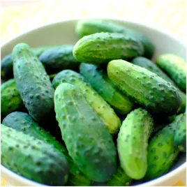 ogorek-konserwowy-sremski-mieszaniec-f1-nasiona-3-g