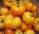 pomidor-gruntowy-wysoki-ananas-03g-stan-opakowania-oryginalne