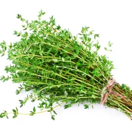 tymianek-wlasciwy-pospolity-nasiona-aromatyczne-ziolo