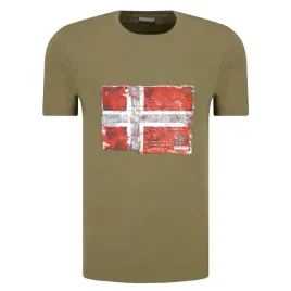 t-shirt-meski-napapijri-seitem-n0yij4-khaki