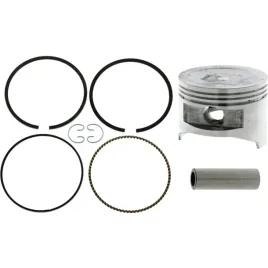 tlok-z-pierscieniami-do-briggs-fi-8740-30271151