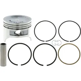 tlok-z-pierscieniami-do-briggs-fi-5960-30271147