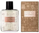 pan-drwal-steam-punk-aftershave-100-ml-grupa-zapachowa-drzewna