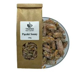sosna-paczki-100g-napar-ziolowy-tisania