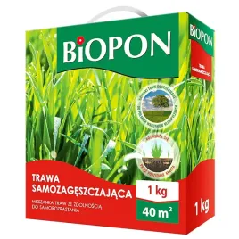 trawa-nasiona-samozageszczajaca-mieszanka-traw-zdolnosc-samorozrastania-1kg