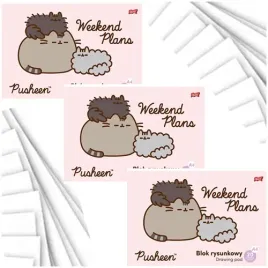 blok-rysunkowy-a4-bialy-20k-kot-pusheen-szkolny-st-majewski-3-sztuki