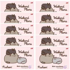 blok-rysunkowy-a4-bialy-20k-kot-pusheen-szkolny-st-majewski-10-sztuk