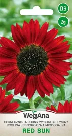 slonecznik-ozdobny-czerwony-red-sun-2g-wegana-nasiona