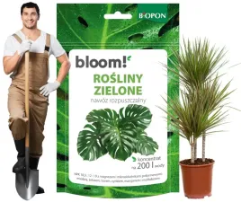 bopon-bloom-rosliny-zielone-monstera-nawoz-rozpuszczalny-200g