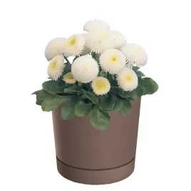 doniczka-z-podstawka-okragla-o147-cm-matowa-kolor-rozowy