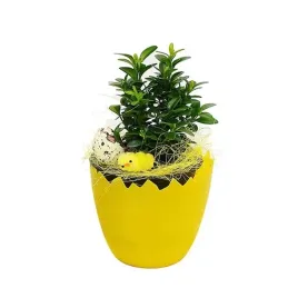 doniczka-skorupka-oslonka-na-rzezuche-wielkanocna-12cm-zolta-1szt