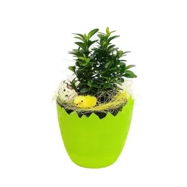 doniczka-skorupka-oslonka-na-rzezuche-wielkanocna-12cm-zielona-1szt