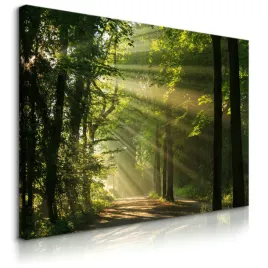 obraz-canvas-do-salonu-sypialni-wschod-slonca-las-krajobraz-natura-100x70