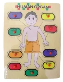 puzzle-drewniana-zabawka-edukacyjna-czlowiek-ang