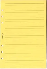 wklad-do-organizera-a5-linia-zolta-antra