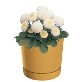 doniczka-z-podstawka-okragla-o178-cm-matowa-kolor-zolty