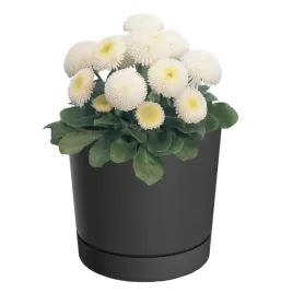 doniczka-z-podstawka-okragla-o178-cm-matowa-kolor-antracytowy