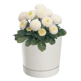 doniczka-z-podstawka-okragla-o108-cm-matowa-kolor-bialy