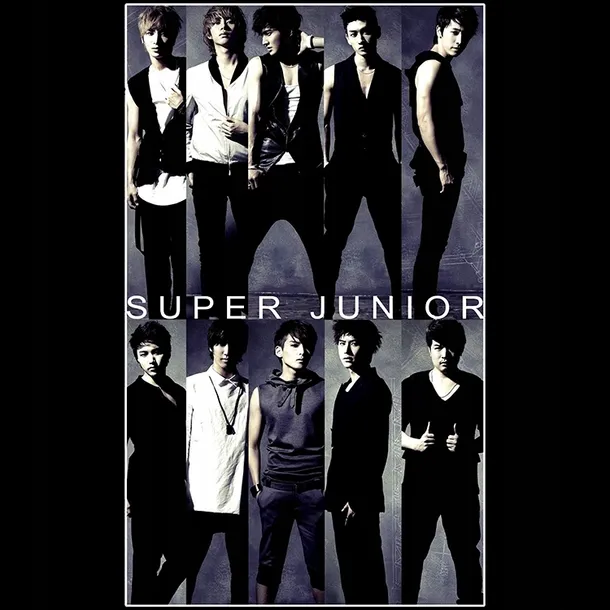 torba-z-uszami-z-super-junior-rodzaj-torba