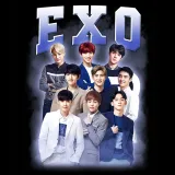 torba-z-uszami-z-exo-stan-nowy